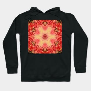 Digital Mandala Yellow, Pink, and Red Hoodie